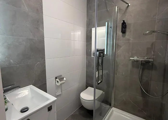 Centrum Nr 8 公寓 拉多姆