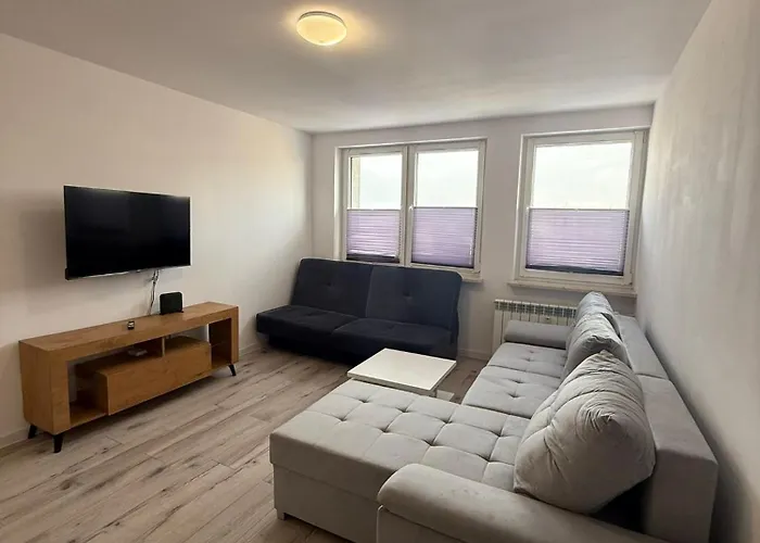 Centrum Nr 8 公寓 *